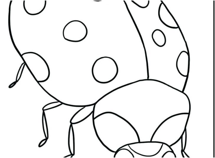 728x536 Tshirt Ter Presents Evolution Of The Volkswagen Beetle