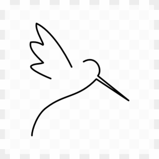 320x320 Minimals Carpe Diem Hummingbirds