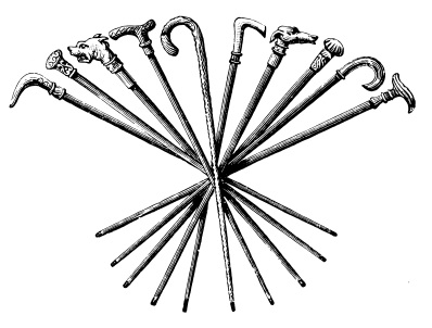 398x302 Walking Canes