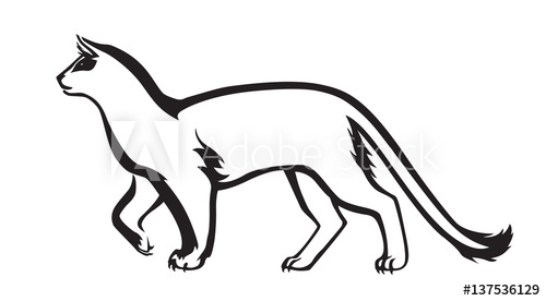 500x276 Walking Stylized Cat Painted