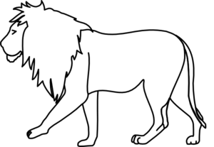 300x207 Lion Walking Drawing