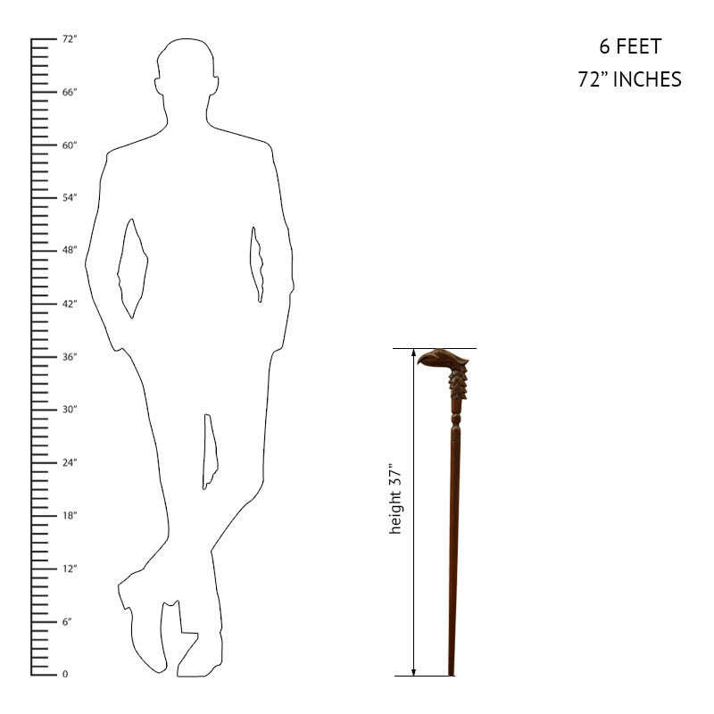 800x800 Walking Stick