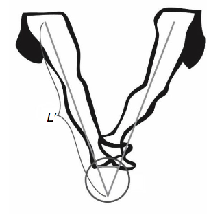 324x326 Why We Walk On Our Heels Instead Of Our Toes Uanews