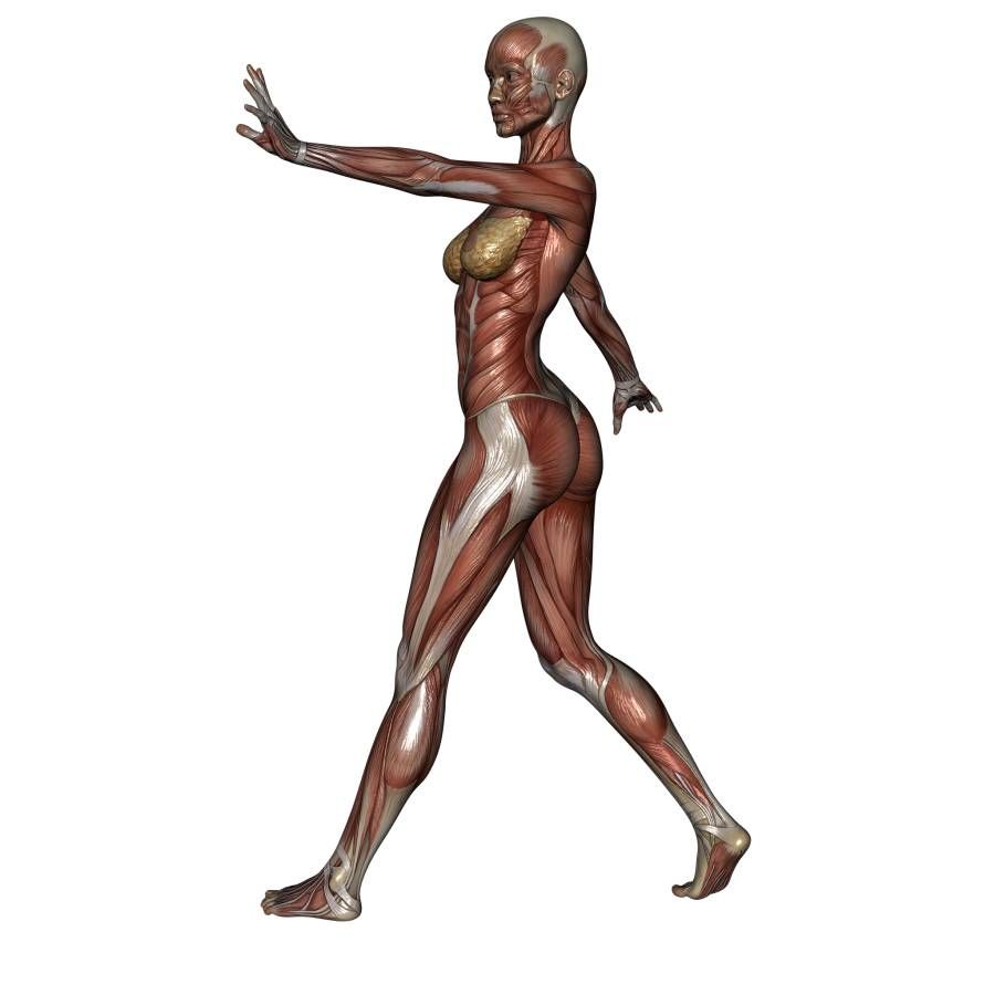 900x900 Figure Drawing Pose Of Female, Superhero, Action, Walking