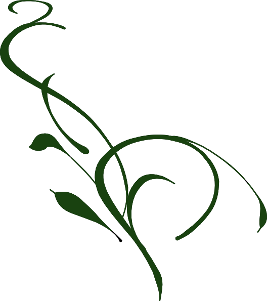 528x595 Jacksonville Landscape Architect, Jay Devine, Rla