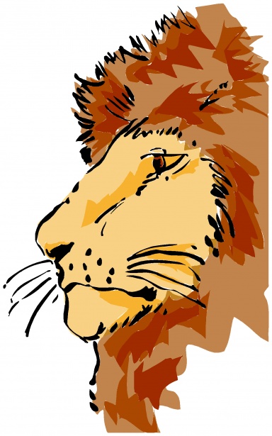 384x615 Wall Drawing Free Stock Photo