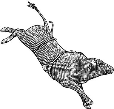 382x367 The Wall Street Journal On Twitter Bull Riders Become Perfume