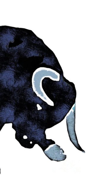 300x600 Wall Street Bull Art Fine Art America