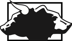 300x173 Bull + Bear Wall Street Quon Design