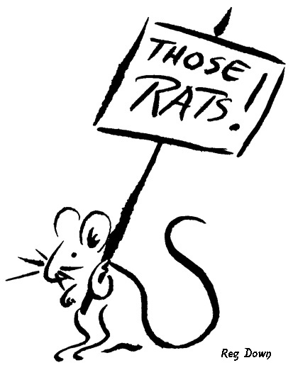 413x522 The Tales Of Tiptoes Lightly News Break! Oct Jeremy Mouse