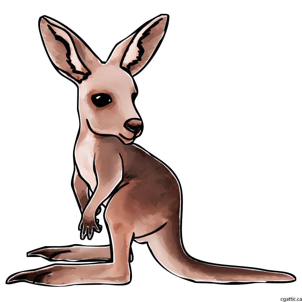 1000x1000 Kangaroo Cartoon Drawing In Steps With Photoshop