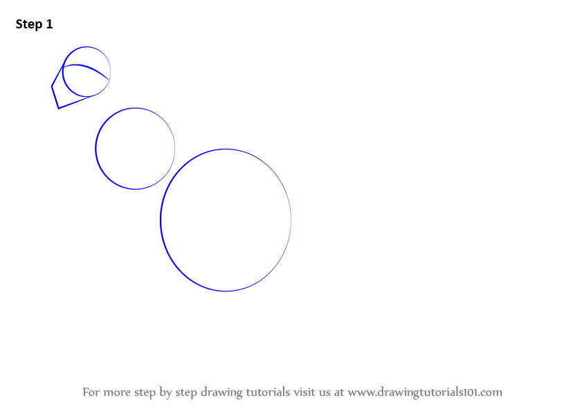 844x598 learn how to draw an agile wallaby