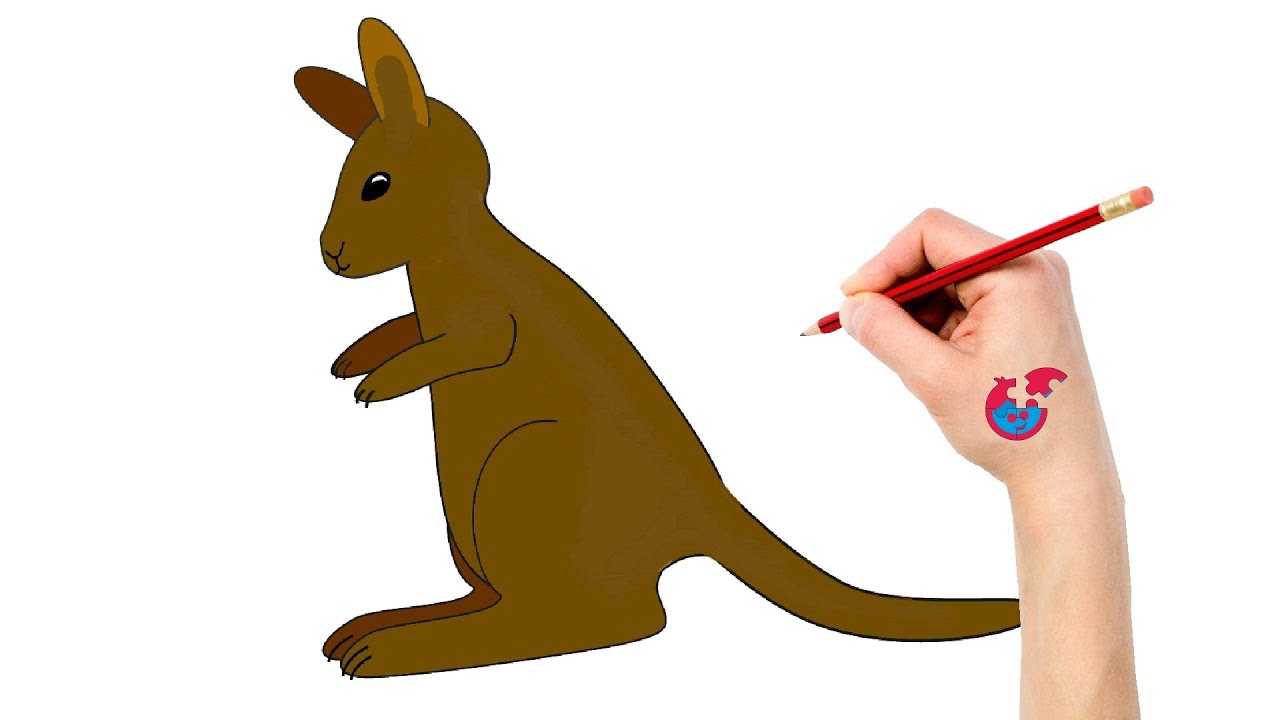 1280x720 learning how to draw animals for toddlers wallaby