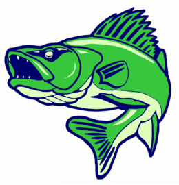 260x270 Illustration, Fishing, Drawing, Transparent Png Image Clipart