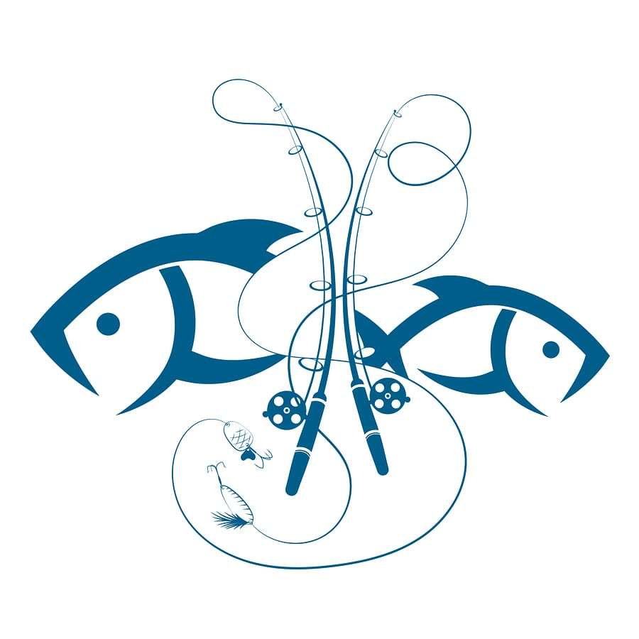 900x900 north dakota walleye fingerlings stocked stl news