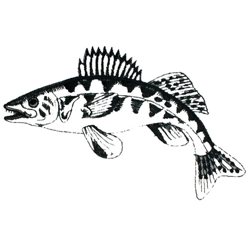 500x500 Walleye Outline Embroidery Design Annthegran