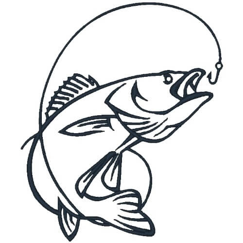 Collection of Walleye clipart | Free download best Walleye clipart on ...