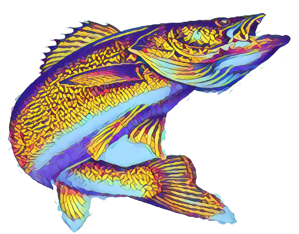 1000x782 fourth walleye tank business pitch competition provides platform