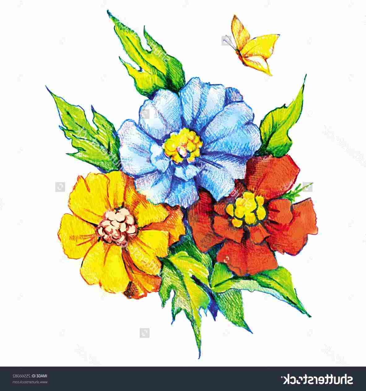 1183x1264 Rose Drawing Images Hd