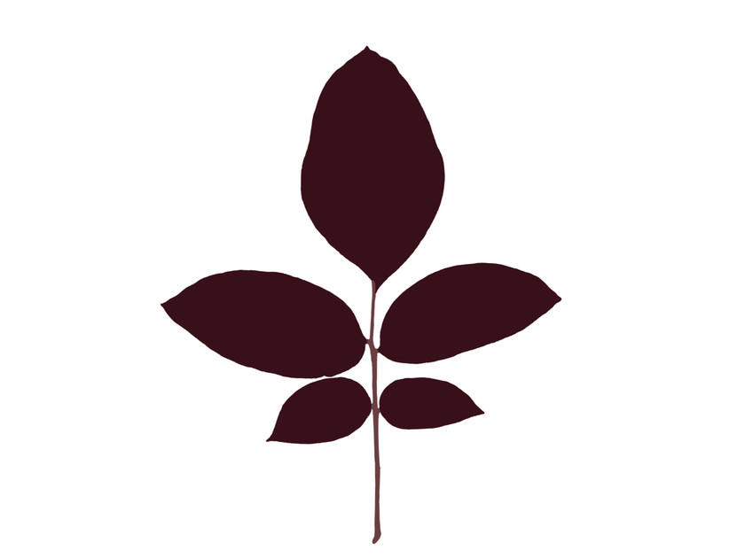 840x630 Silkscreen Leaves Walnut