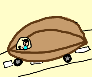 300x250 Walnut Truck Driver