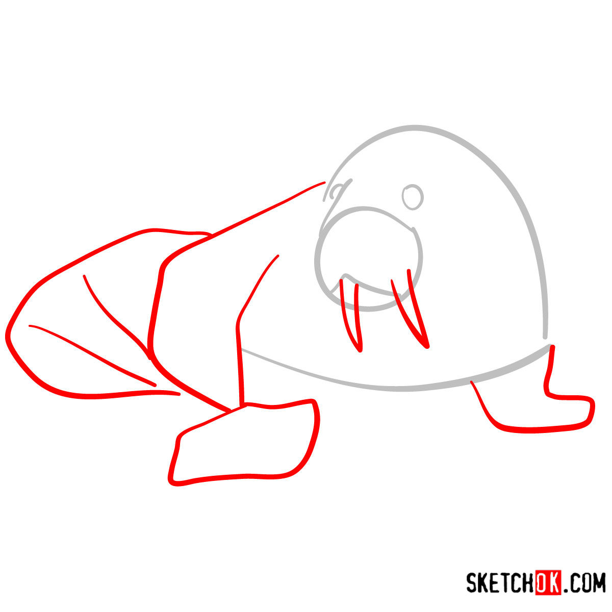 1200x1200 How To Draw A Walrus Sea Animals