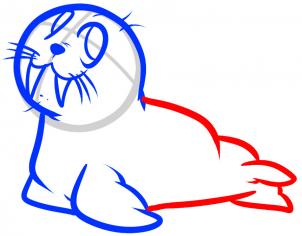 302x236 How To Draw How To Draw A Walrus For Kids