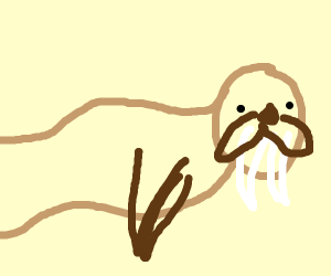 300x250 stretched walrus