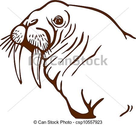450x414 Vector Illustration Of Walrus Portrait