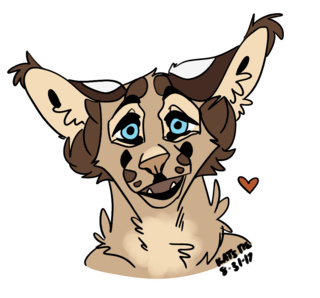 320x298 Here's A Drawing Of The Caracal With The Colors I Wanted To Use