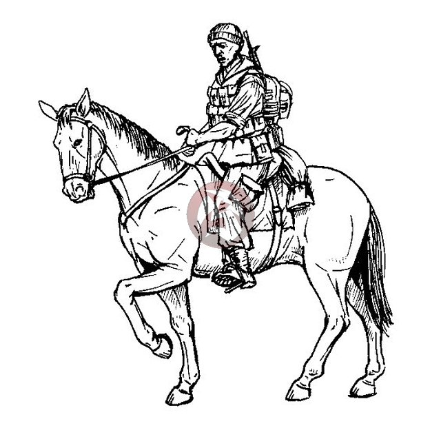 War Horse Drawing