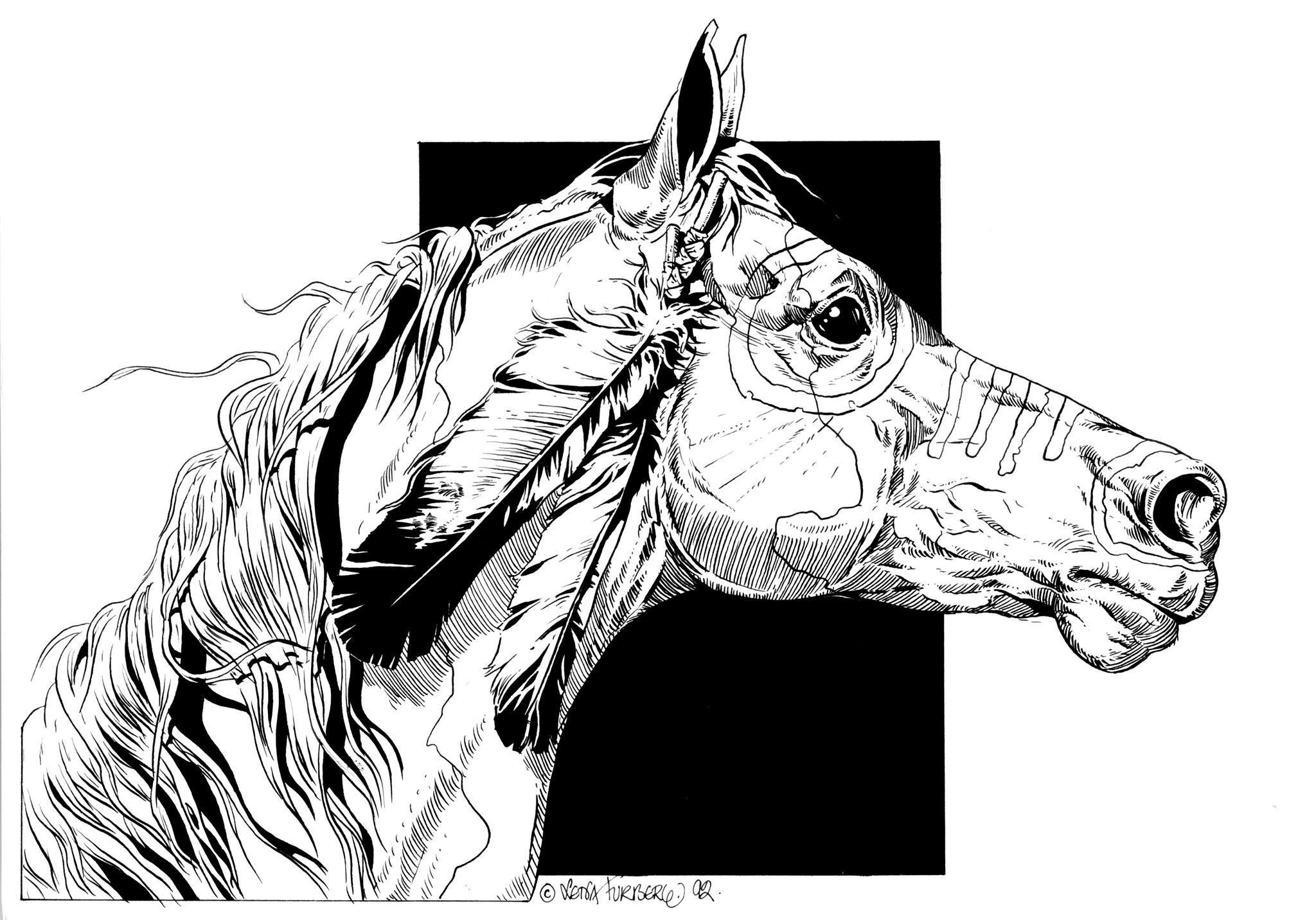 2048x1432 Black And White Pen Ink Horse Drawing Horses In Ink