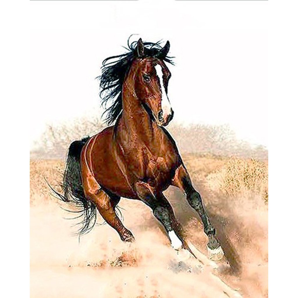 1024x1024 Ea Stone Diy Oil Painting, War Horse Paint