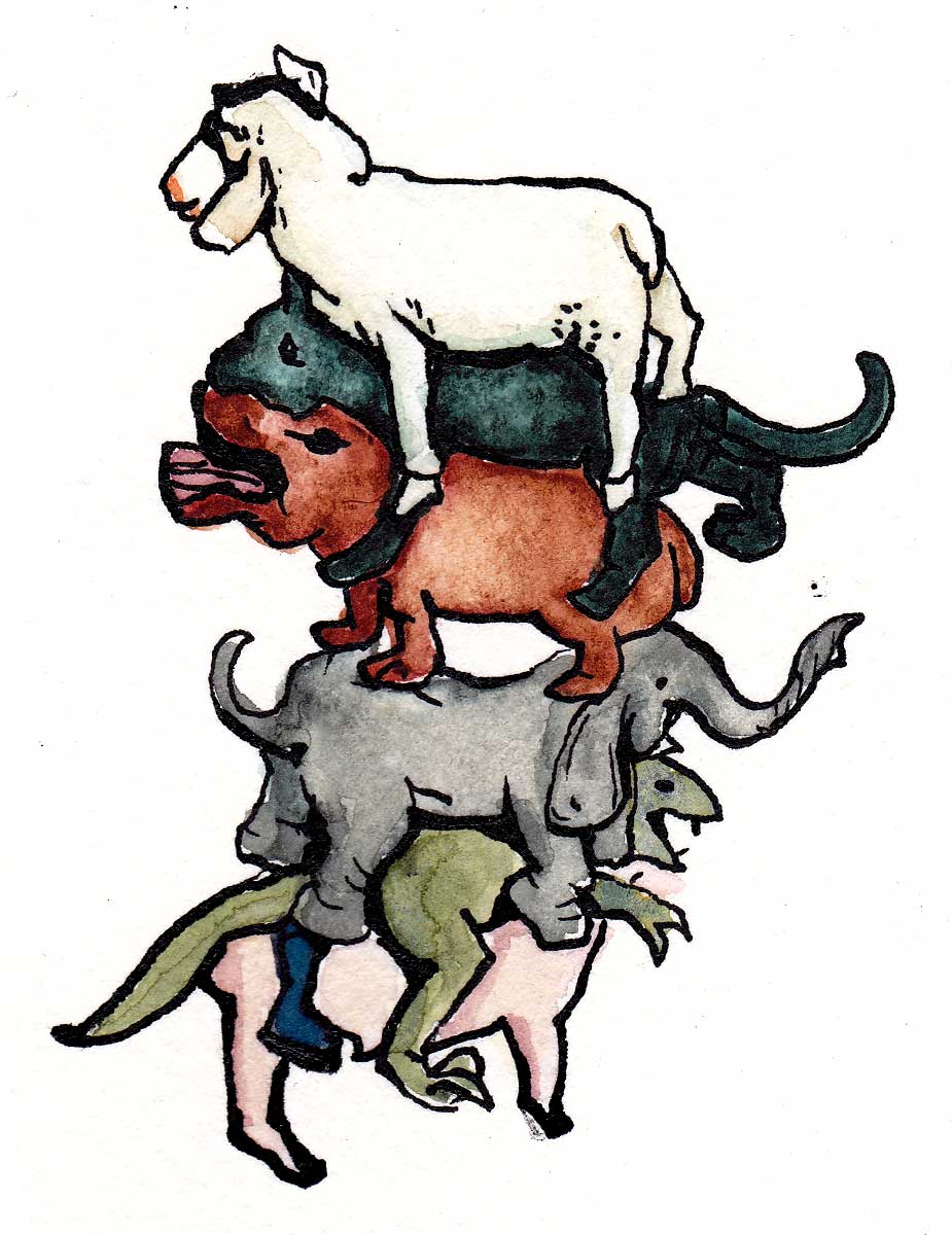 925x1200 Dana Jeri Maier