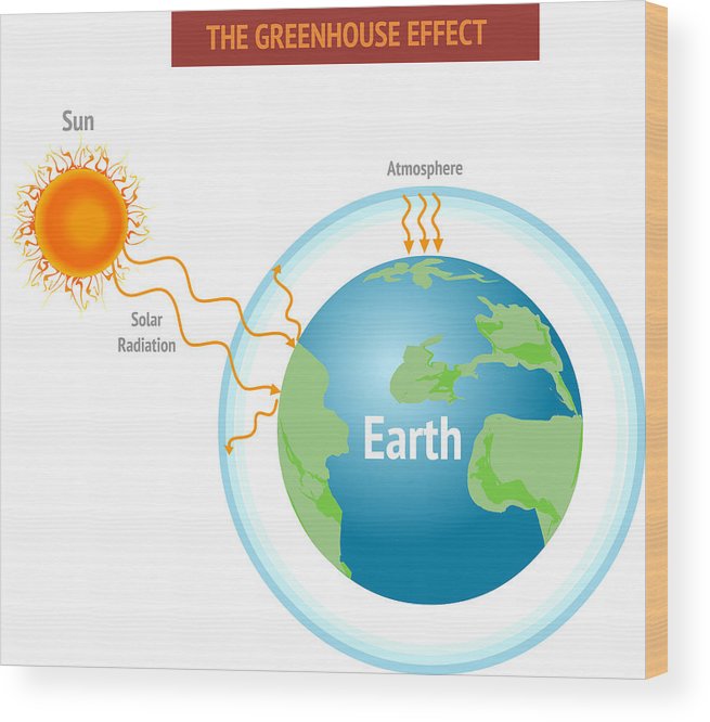 655x666 Greenhouse Effect And Global Warming Vector Illustration Wood