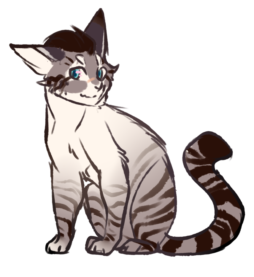 856x934 Gift For Forgets The Keys