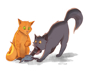 305x250 Take Your Time, Graypaw