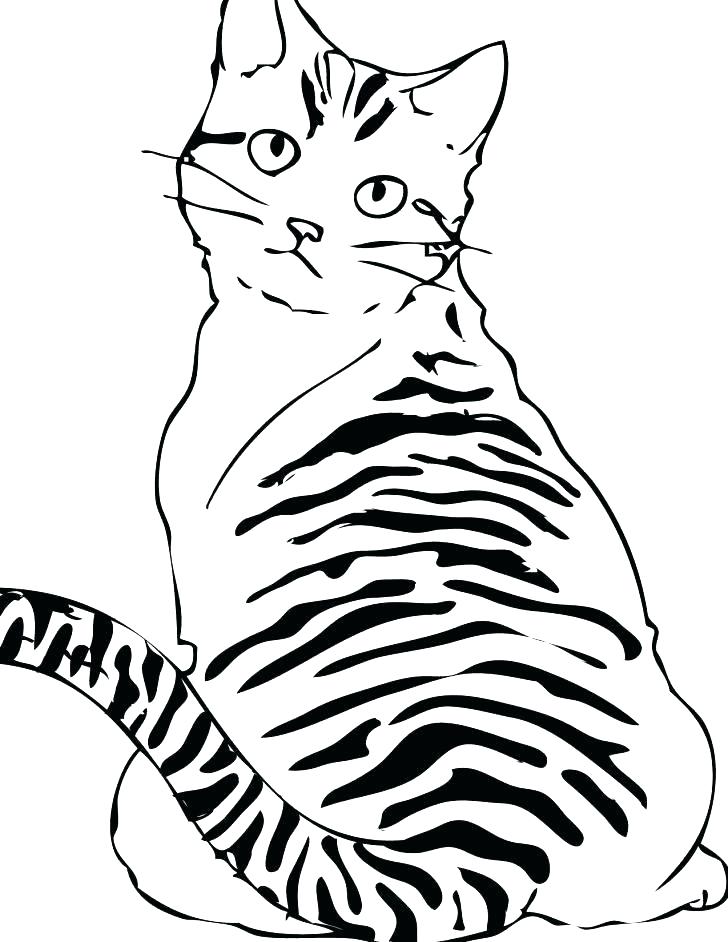 728x942 Warriors Cats Coloring Pages Related Post Warrior