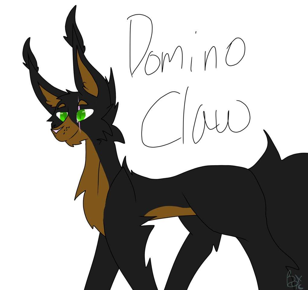 1019x960 Warrior Cat Art Best Cat Cute Pictures, Meme, Cartoon, Images