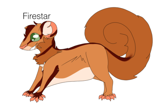 540x345 Warrior Cat Au Tumblr