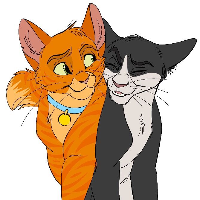 669x669 Caramel Et Filante Cat Things Warrior Cats, Warrior