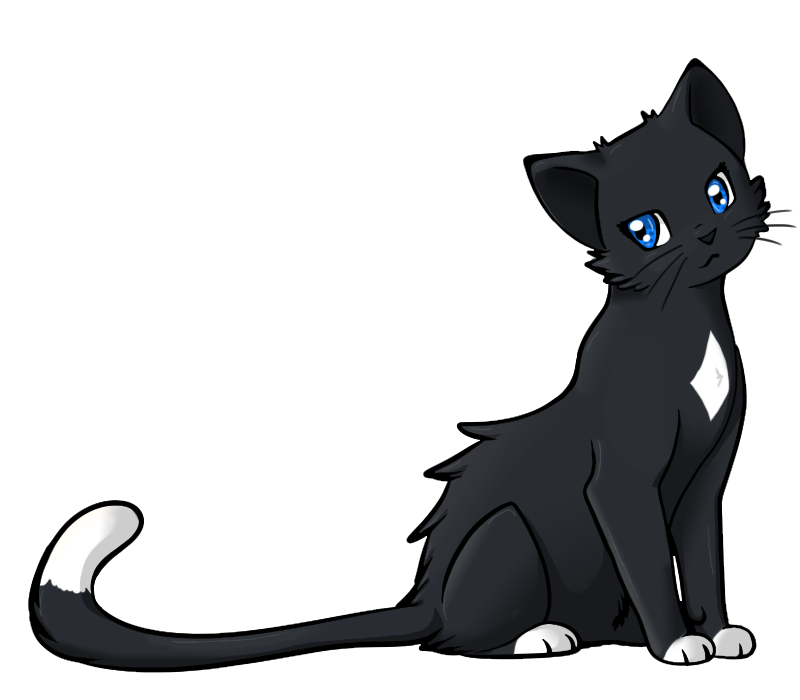 800x700 Doom Drawing Warrior Cats Transparent Png Clipart Free Download