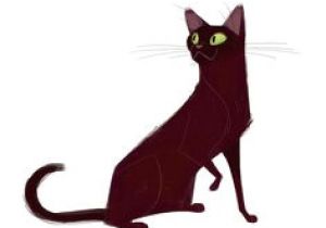 300x210 Drawing Of A Mean Cat Best Warrior Cat Art Images