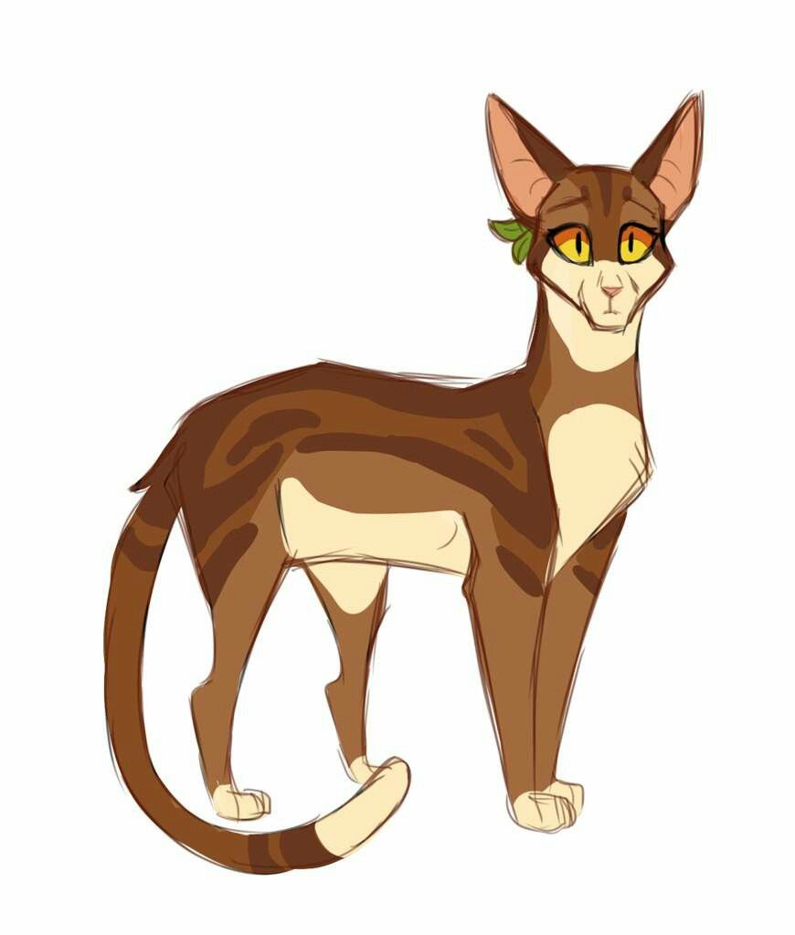 870x1024 Leafpool
