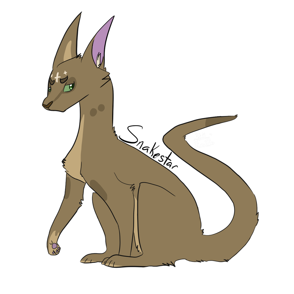 1024x1024 Snakestar Warrior Cats Oc