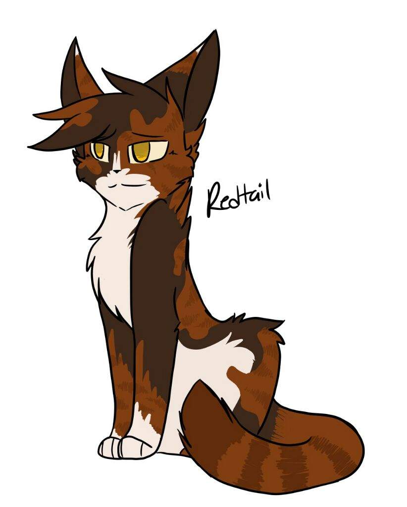 822x1024 What Characters Should I Draw Warriors Amino