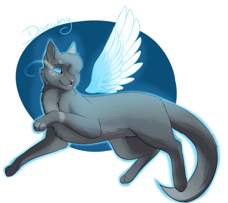736x654 Dovewing's Wings
