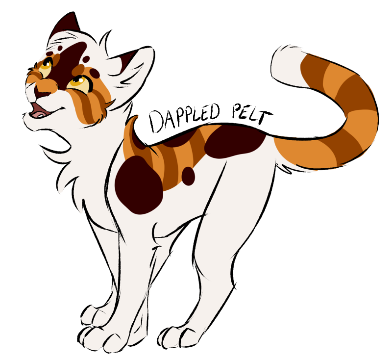 800x736 Dappled Pelt