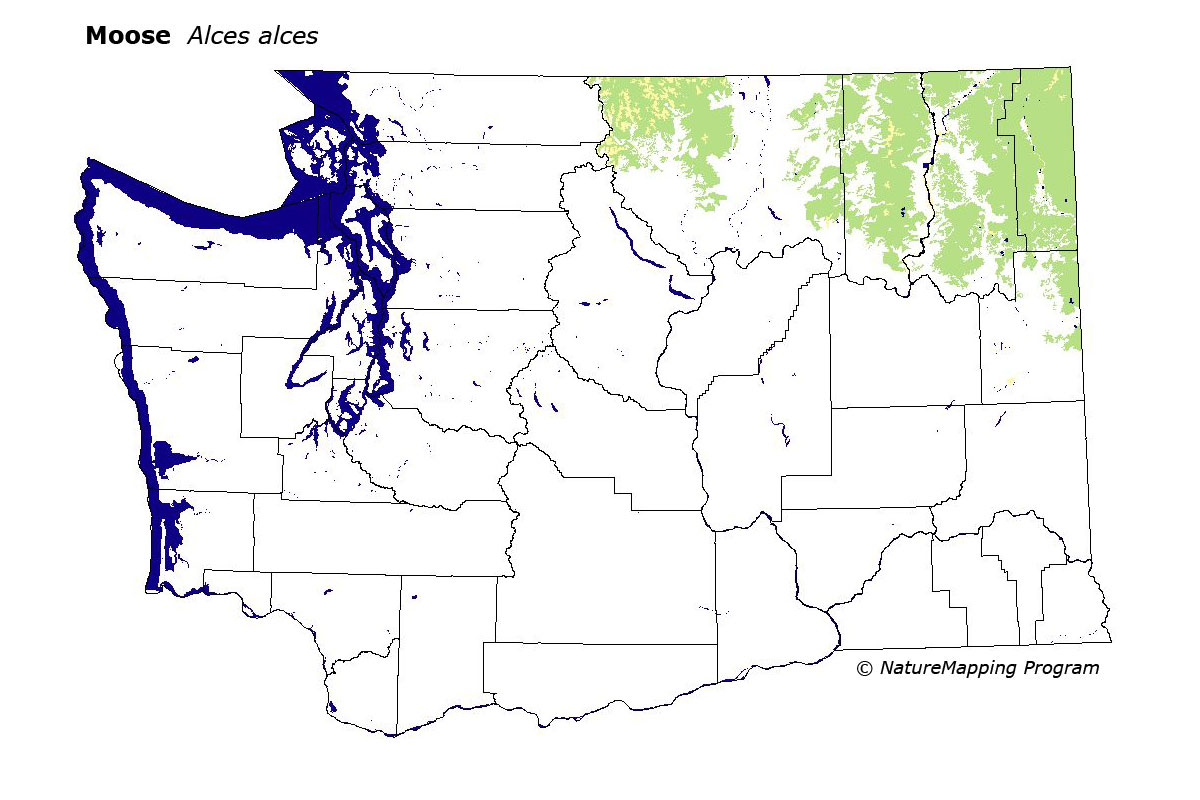 1200x800 Distribution Map