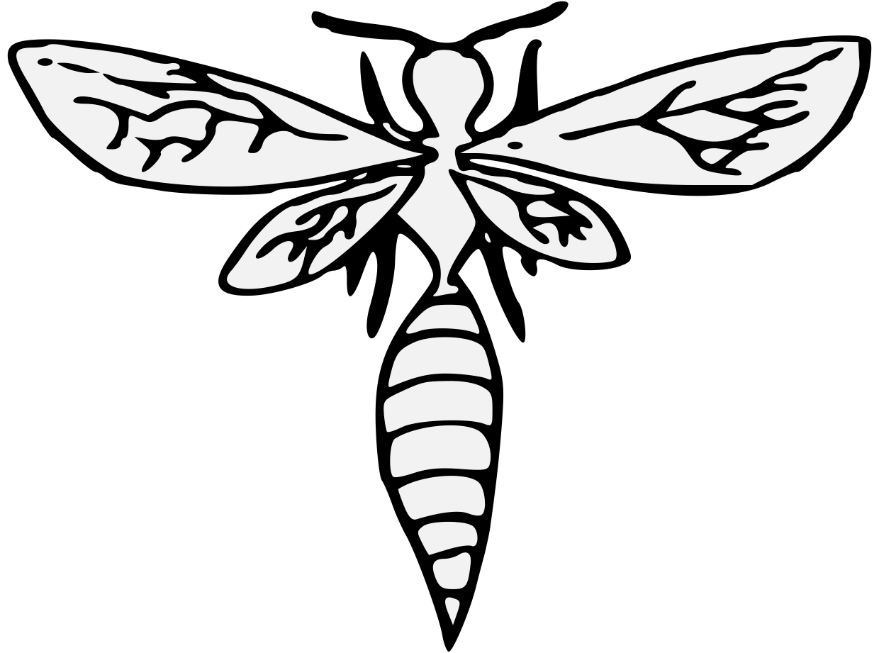 1240x921 Collection Of Free Wasp Drawing Detailed Download On Ui Ex